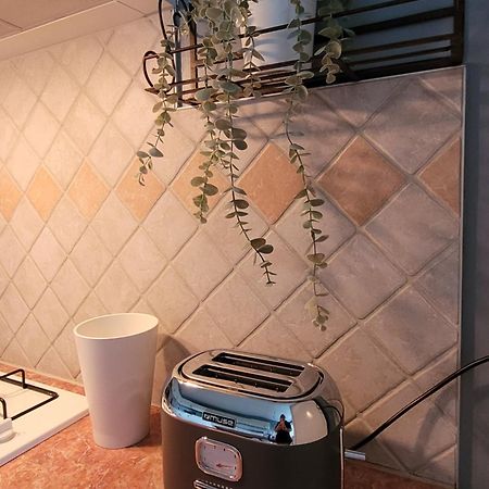 La Maison Aux Iris Pocé-sur-Cisse Εξωτερικό φωτογραφία