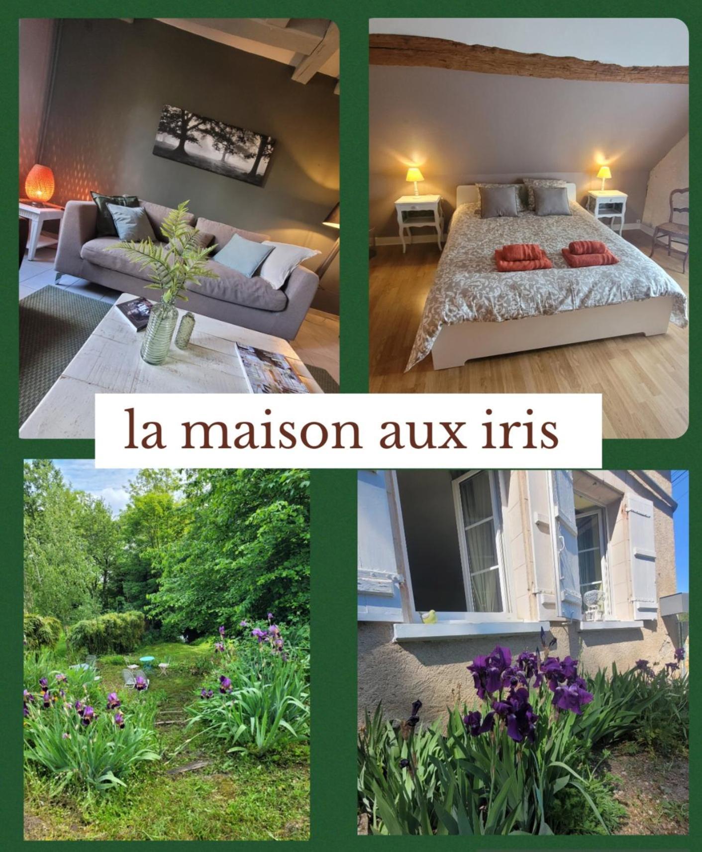 La Maison Aux Iris Pocé-sur-Cisse Εξωτερικό φωτογραφία