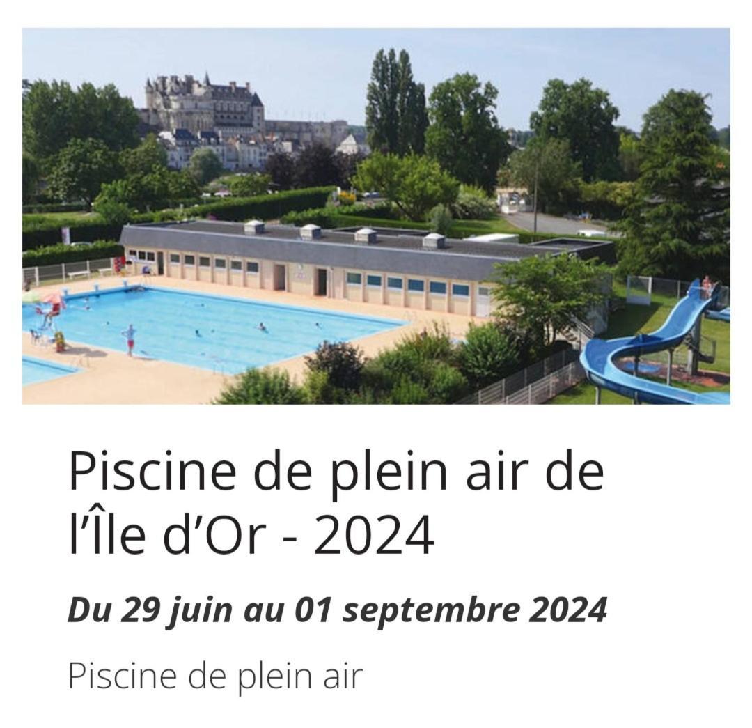 La Maison Aux Iris Pocé-sur-Cisse Εξωτερικό φωτογραφία