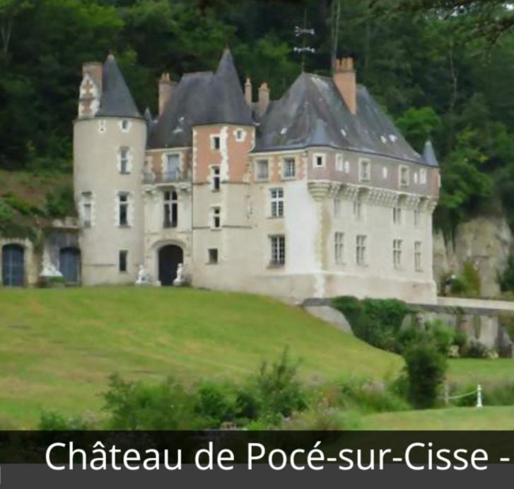 La Maison Aux Iris Pocé-sur-Cisse Εξωτερικό φωτογραφία