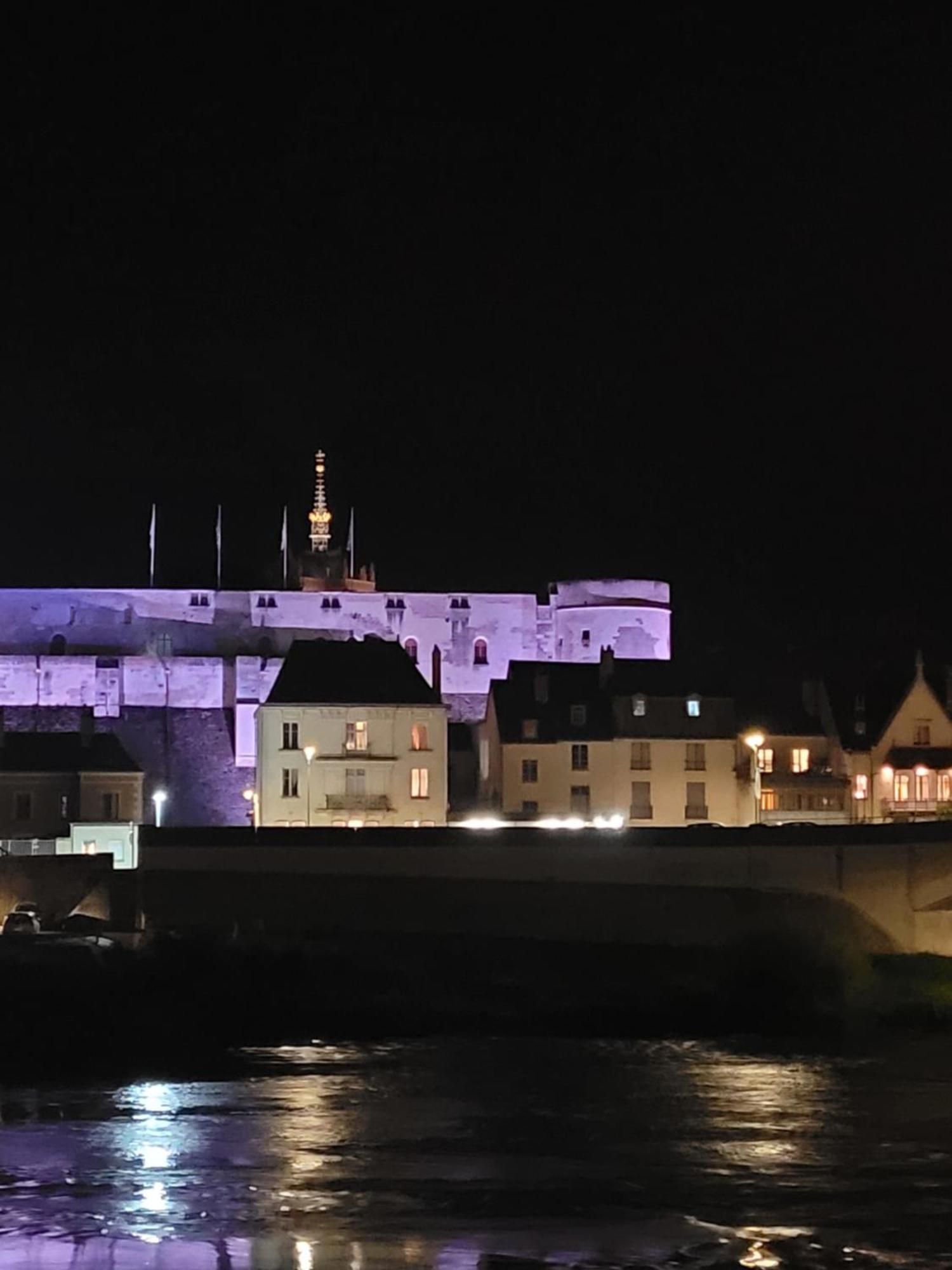 La Maison Aux Iris Pocé-sur-Cisse Εξωτερικό φωτογραφία