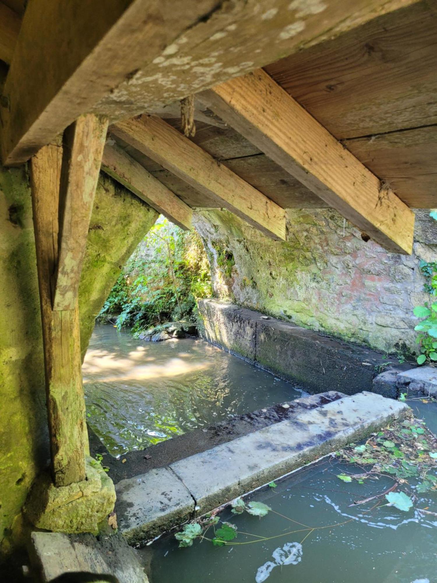 La Maison Aux Iris Pocé-sur-Cisse Εξωτερικό φωτογραφία
