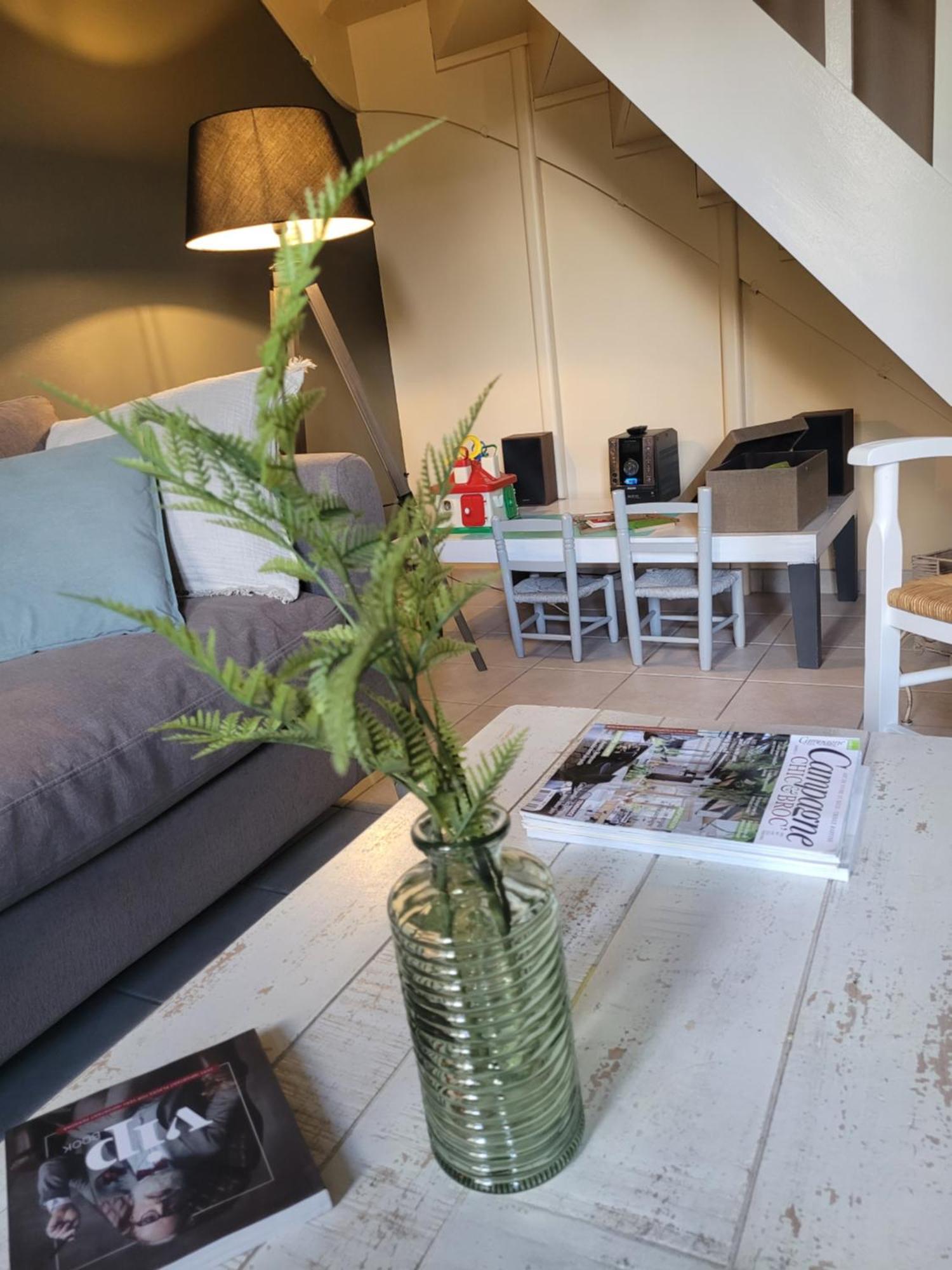La Maison Aux Iris Pocé-sur-Cisse Εξωτερικό φωτογραφία