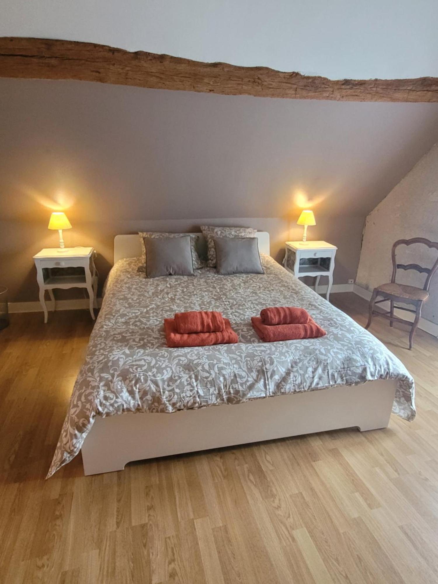 La Maison Aux Iris Pocé-sur-Cisse Εξωτερικό φωτογραφία